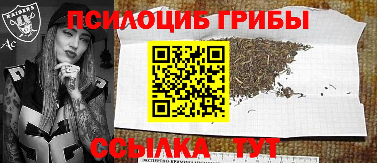 Галлюциногенные грибы прущие грибы  Вход с VPN  Каменка 