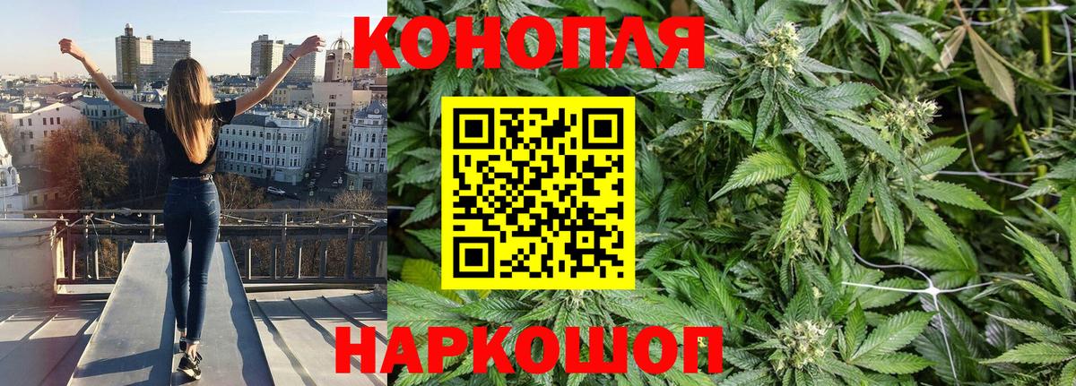 Каменка  Бошки Шишки ГИДРОПОН  Шишки марихуана тримм  Вход с VPN  Шишки марихуана LSD WEED  Бошки Шишки план 